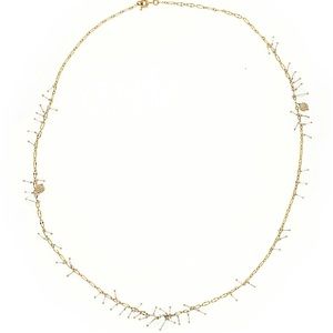 JCrew: necklace- long, clear beads